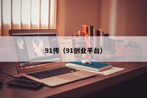 91传（91创业平台）