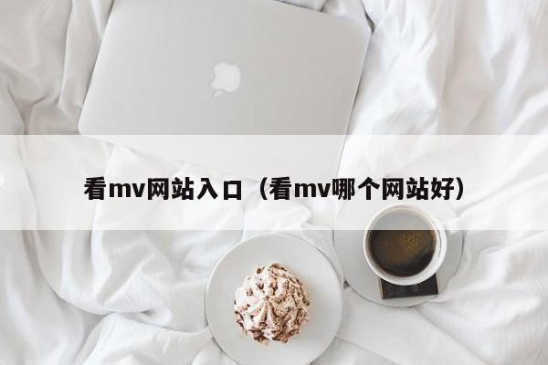 看mv网站入口（看mv哪个网站好）