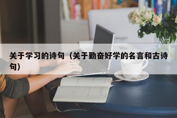 关于学习的诗句（关于勤奋好学的名言和古诗句）