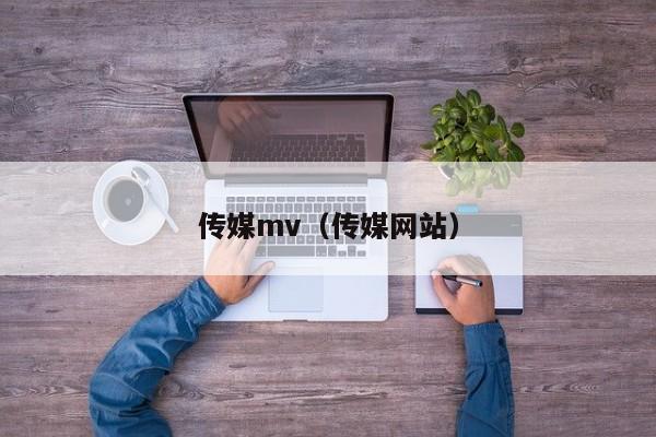 传媒mv（传媒网站）