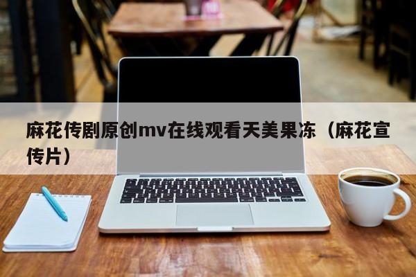 麻花传剧原创mv在线观看天美果冻（麻花宣传片）
