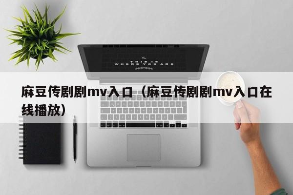 麻豆传剧剧mv入口（麻豆传剧剧mv入口在线播放）