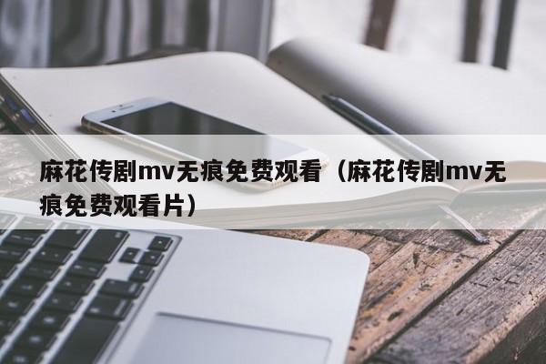 麻花传剧mv无痕免费观看（麻花传剧mv无痕免费观看片）